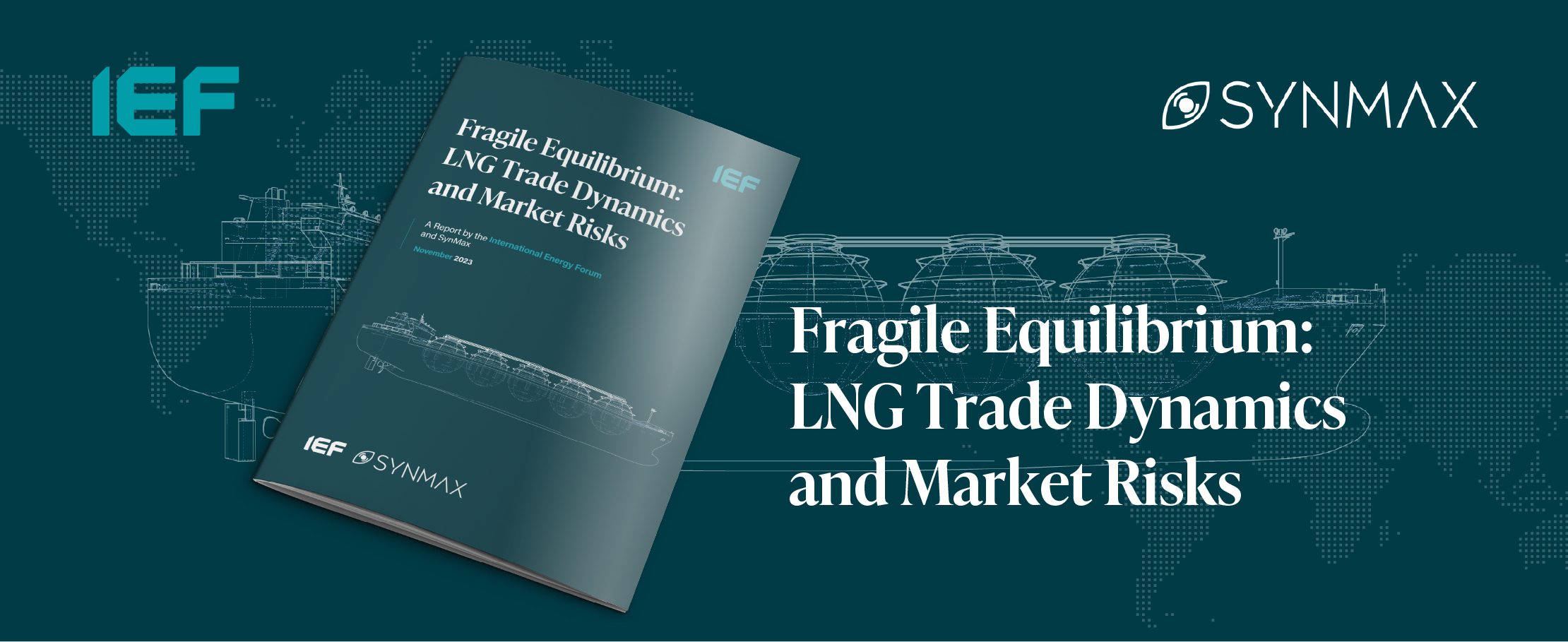Fragile Equilibrium: LNG Trade Dynamics and Market Risks