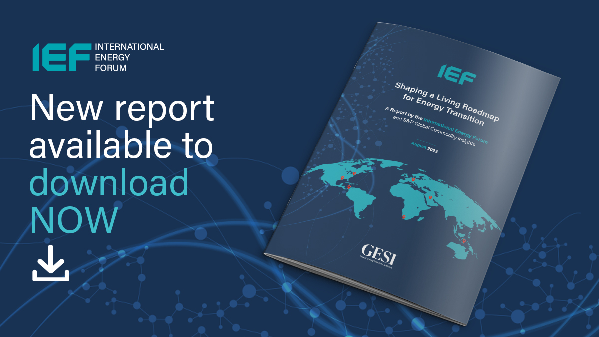 Download the IEF GESI Report