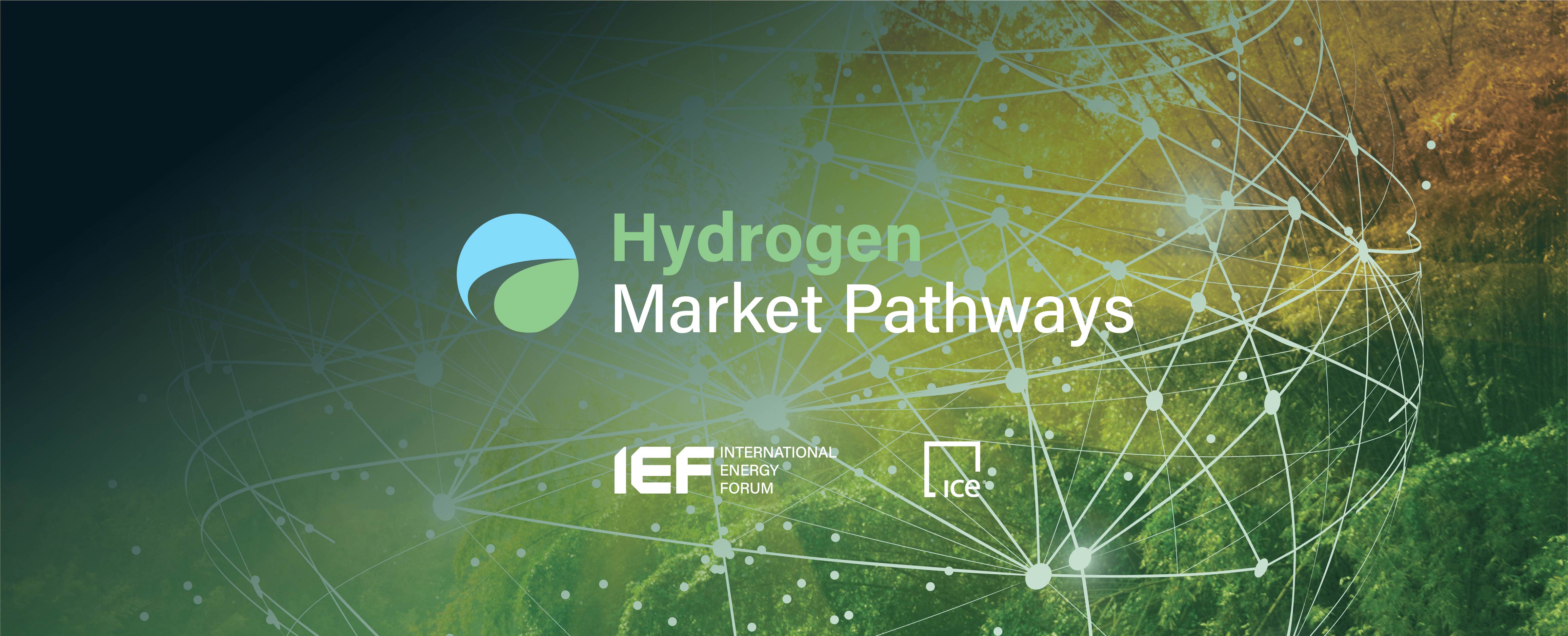 Hydrogen Market Pathways